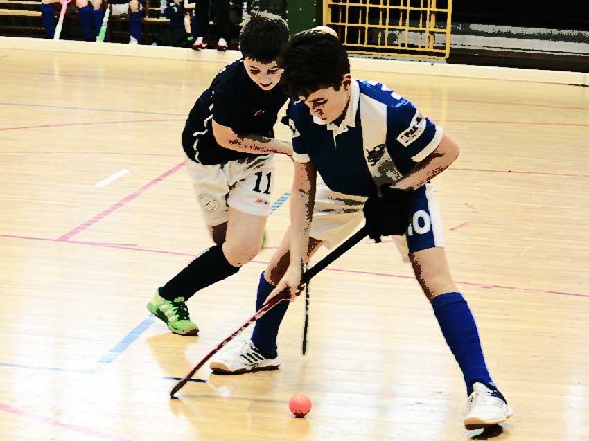 Concordia - Zelina concordia-zelina