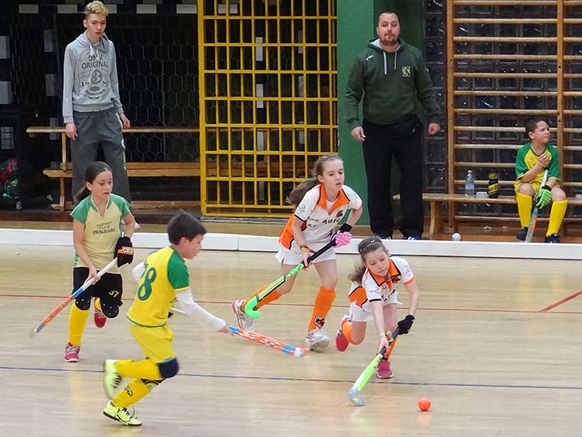 zrinjevac-zelina-pioniri