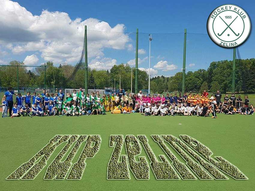 Kup Zeline, učesnici kup-zeline