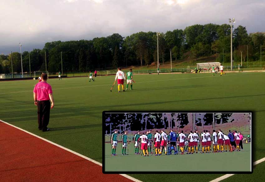 Zelina - Mladost zelina-mladost