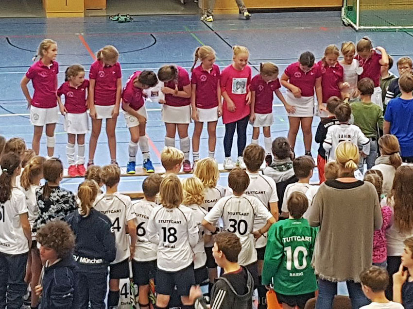 zelina-hokej-pionirke