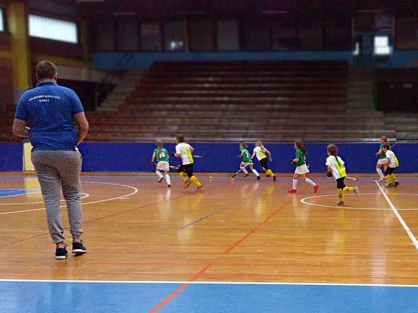 Zrinjevac - Zelina; mlađe pionirke Zrinjevac - Zelina; mlađe pionirke