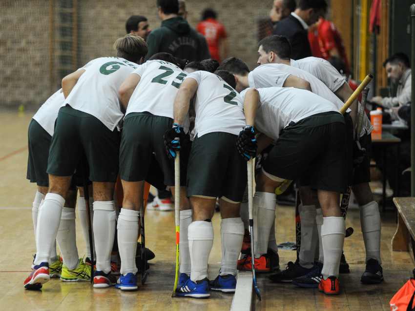 Zelina, ? Petra Šbull